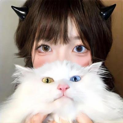 家有囍事